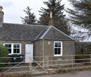 2 bedroom bungalow to rent - Photo 4