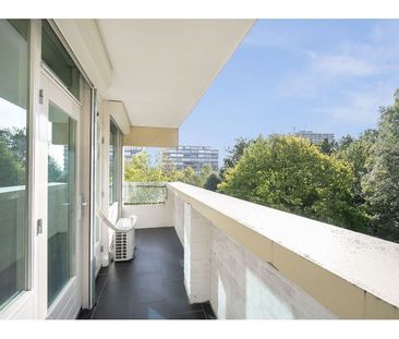 Kruisakker - Photo 3