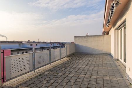 "Terrace lovers?" - Foto 2