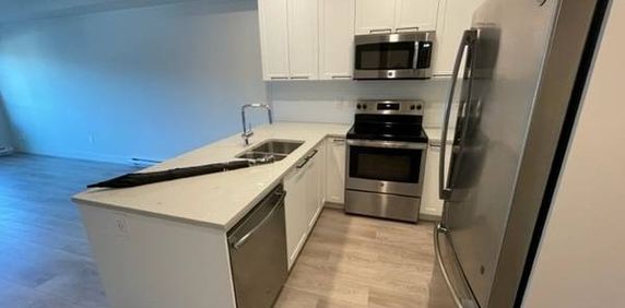 Spacious 1BR/In suite laundry/Quartz countertops/On site management - Photo 2