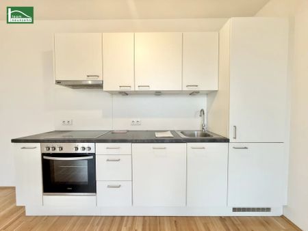 AKTION 1 MONAT MIETZINSFREI! - URBAN GARDENING IM NEUEN VIERTEL REININGHAUS - Photo 5