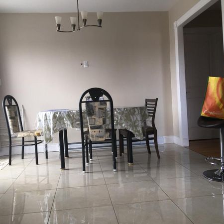 Grand 5 ½ rénové, lumineux et paisible. - Photo 3