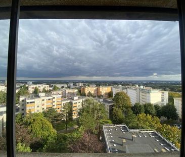 Location Appartement 1 pièce 34m² HEROUVILLE ST CLAIR 14200 - Photo 3