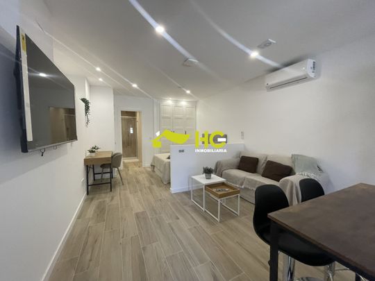 Alquiler Estudio en Urbanización - El Bosque, Villaviciosa De Odón - Foto 1