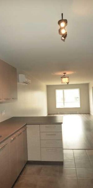 41/2 à louer SHERBROOKE ^Fleurimont) - Photo 1