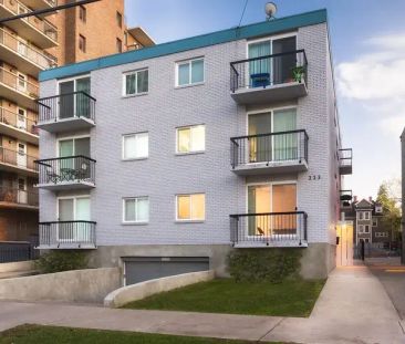 BELTLINE RENOVATED SUNNY 1 BEDROOM APARTMENT | 305 - 223 14 Ave SW,... - Photo 1