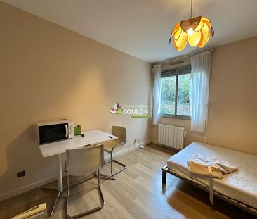 Appartement meublé - 1 pièce - Jardin Lecoq/Facultés - Photo 3
