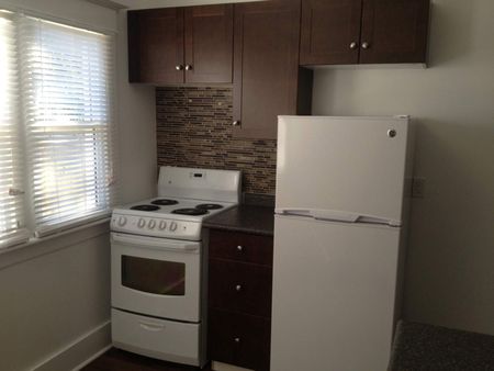 newly renovated Cathedral 2 bd character suite /fenced yard /gargae - Photo 4