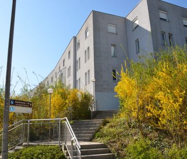 3-Zimmer Wohnung mit Loggia und Tiefgaragenabstellplatz im 1. Stock... - Photo 1