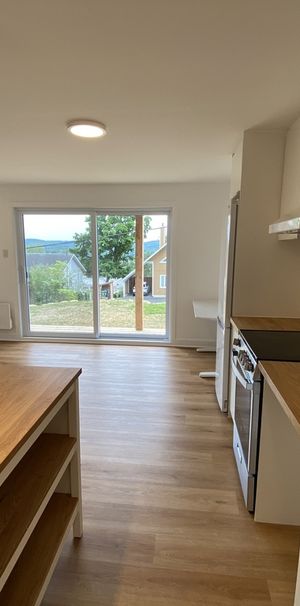 3 Et 1/2 Neuf Meublé à Sainte-Agathe - Photo 1