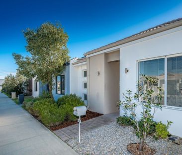 ** DON'T SIGN ANYTHING UNTIL YOU HAVE SEEN THIS RIPSNORTER!! ** - Photo 2