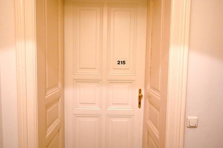 Komfortables Wohnen mit Geschichte – 1-Zimmer-Wohnung mit Donaublick in Linz Urfahr - Photo 3