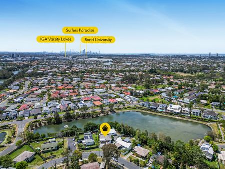 1/31 Brier Crescent, Varsity Lakes QLD 4227 - House For Rent - $900 | Domain - Photo 4