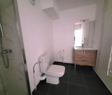 Location Appartement 1 pièce 33m² CROIX 59170 - Photo 4