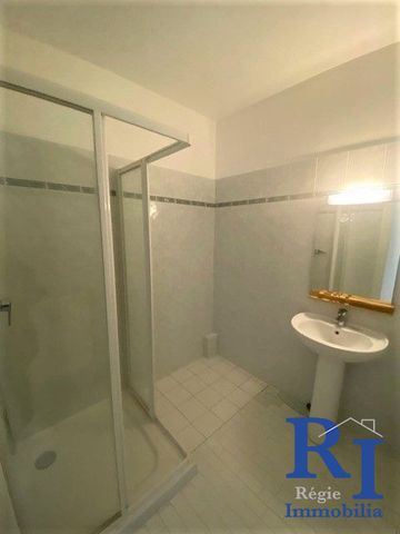 Location Appartement 2 pièces 60m² GRENOBLE 38100 - Photo 4