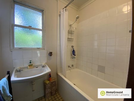 10 Wandoo Street, O'Connor ACT 2602 - House For Rent - $515 | Domain - Photo 5