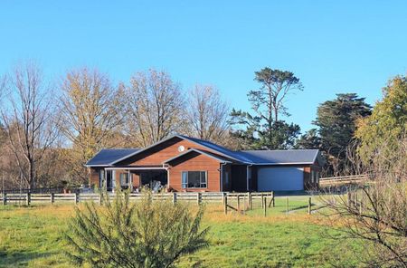 Country home minutes from Matakana Village - Photo 5