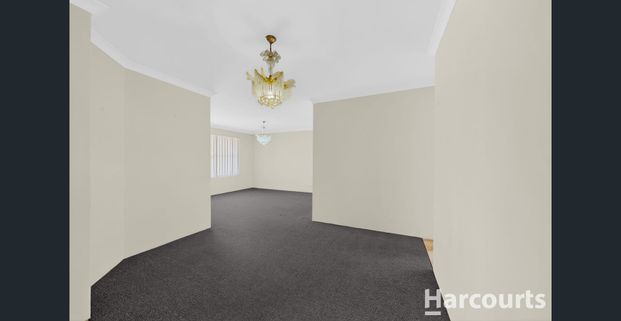 Spacious Family Living in the Heart of Currambine! - Photo 1