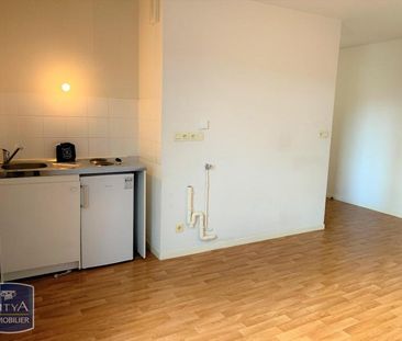 Location Appartement 1 pièce 30m² TRELAZE 49800 - Photo 3