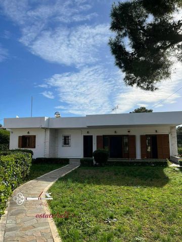 Μονοκατοικία για ενοικίαση - Ραφήνα, - Photo 2