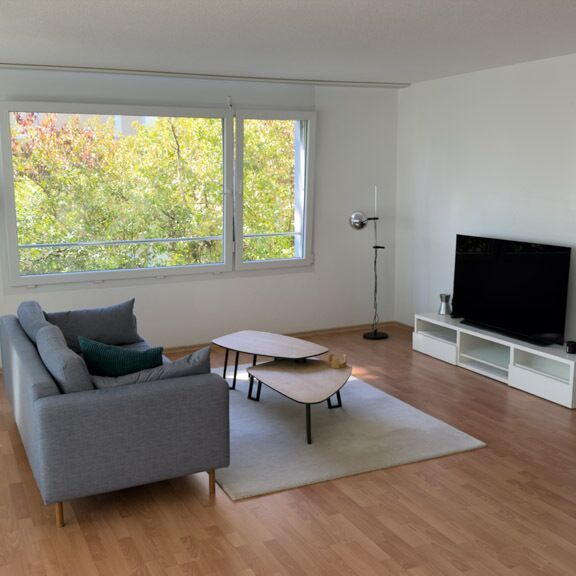 31/2 ROOM APARTMENT IN ZURICH - DISTRICT 11 SEEBACH, FURNISHED, TEMPORARY - Photo 1