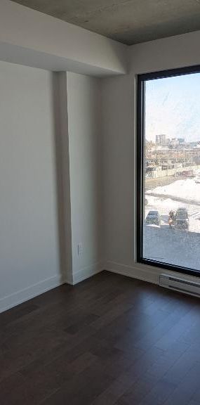 🏙️ Magnifique condo 3 ½ à Montréal – Métro Papineau – Disponible mi ou fin août 🏡 - Photo 1