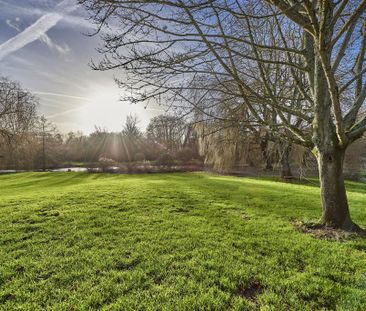 1 bedroom cottage to rent - Photo 6