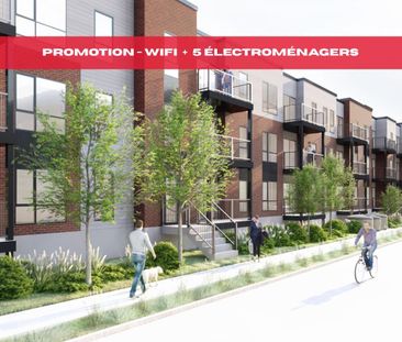 Appartement Salaberry-de-Valleyfield À Louer - Photo 1