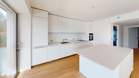 Tout savoir sur cet appartement dans le quartier Sud , à Colmar - Photo 3
