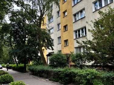 Pokój, ul. Egejska - Zdjęcie 3