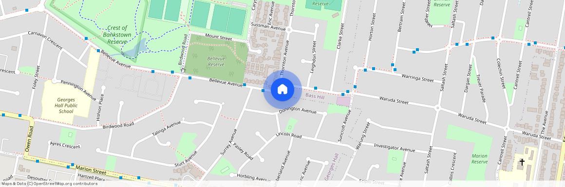 59 Thornton Avenue, New South Wales, NSW 2197, Bass Hill