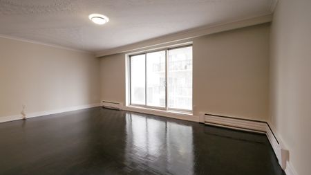 Waterfront Large Renovated 2 Bedroom Apartment Etobicoke - Photo 2