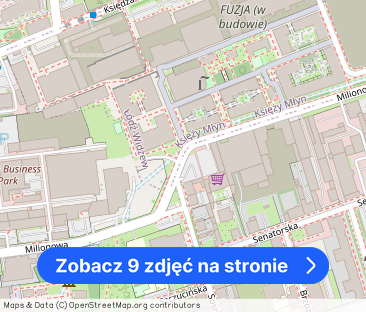 Łódź, Śródmieście, Milionowa - Zdjęcie 1