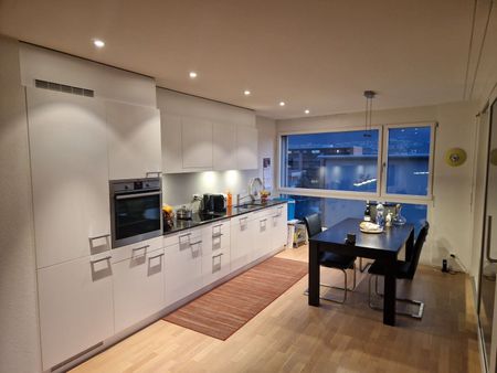 3-ROOM APARTMENT IN LOCARNO (TI), FURNISHED, TEMPORARY - Photo 4