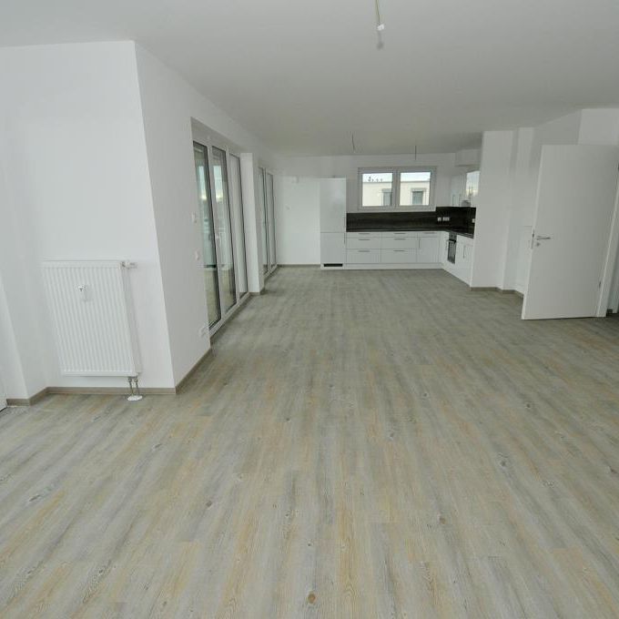 Am Ufer der Havel! eine komplette Ebene für sich alleine - Photo 1