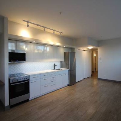 Newly Renovated Studio Apartment - Photo 3