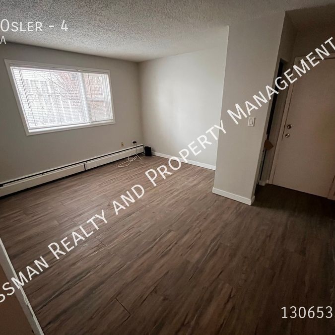 1 bed 1 bath APARTMENT in downtown Regina FIRST MONTH RENT FREE - Photo 1