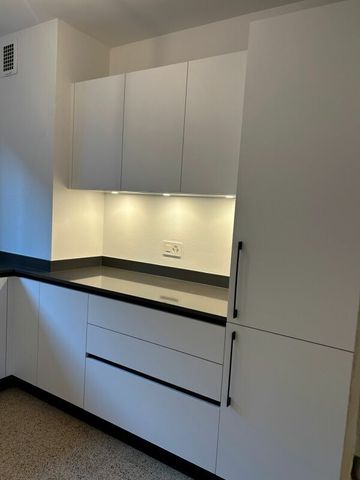 Luminous apartment with lake view in Melide - Photo 4