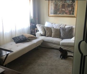 rome, Lazio 00151 - Photo 3