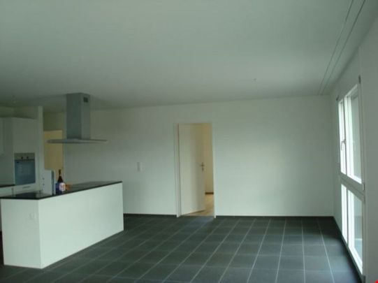 Sonnige 4.5-Zimmerwohnung mit Blick auf die Berge - Photo 1