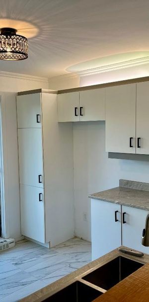 OFFFRE SPÉCIALE 1 MOIS GRATUIT- MAGNIFIQUE 5 1/2 - ENTIÈREMENT RÉNOVÉ - TRIPLEX - Photo 1