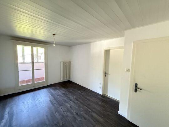 Countryside view with 2 winter gardens - Photo 1