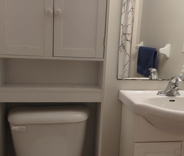 1217 Patann Drive - Photo 3