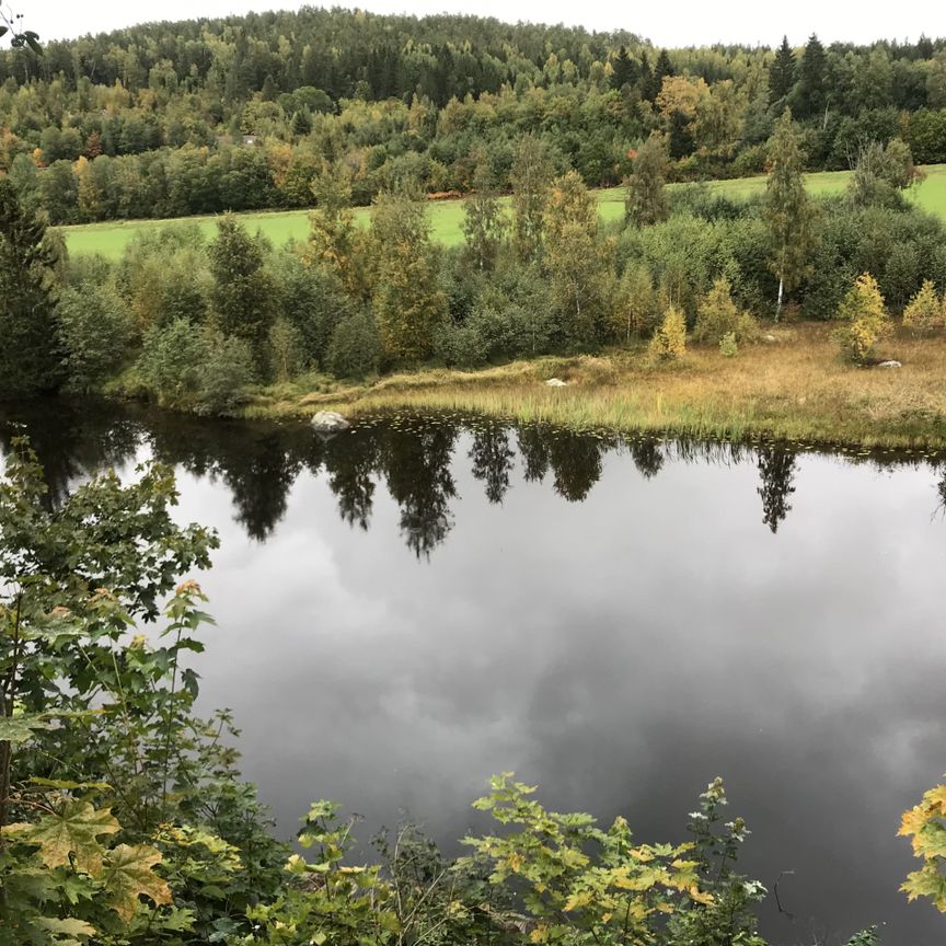 Stor villa i centrala Bergsjö - Foto 1