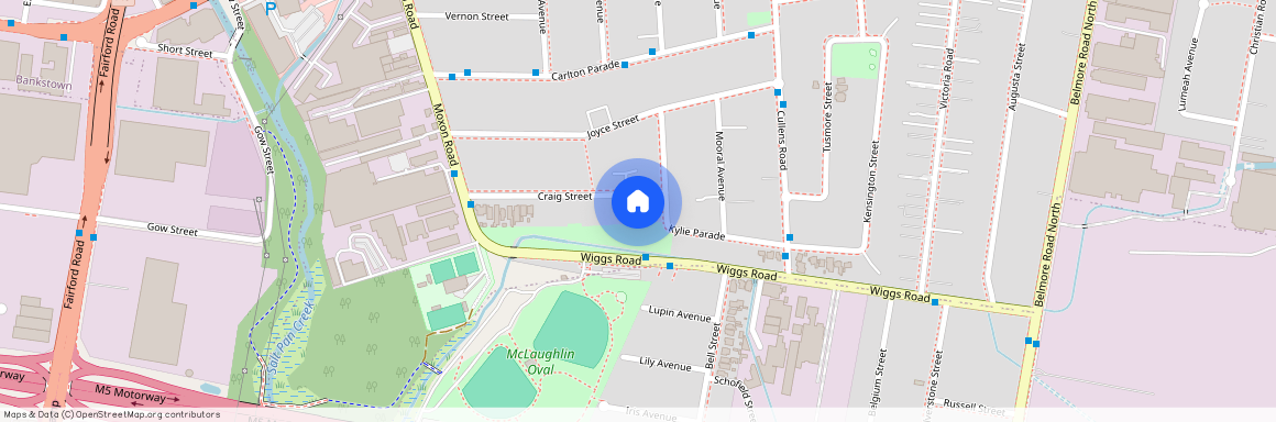 43a Craig St, NSW 2196, Punchbowl