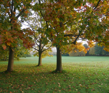 Gamlegård, Alnarp - Photo 2