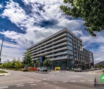 421/1 Kalma Way, Campbell ACT 2612 - Apartment For Rent | Domain - Photo 5