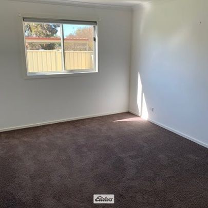 Unit 3/19 Reilly Street, 3505, Merbein Vic - Photo 1