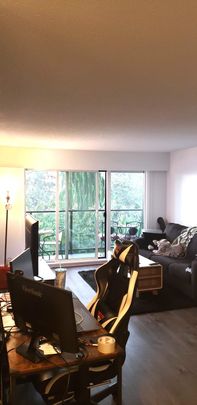 $1,950 / 1br – 589ft2 – Welcome to your new home in beautiful New Westminster (R0074) - Photo 1