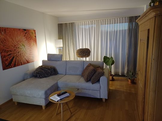 31/2-ROOM APARTMENT IN REINACH (BL), FURNISHED, TEMPORARY - Photo 1